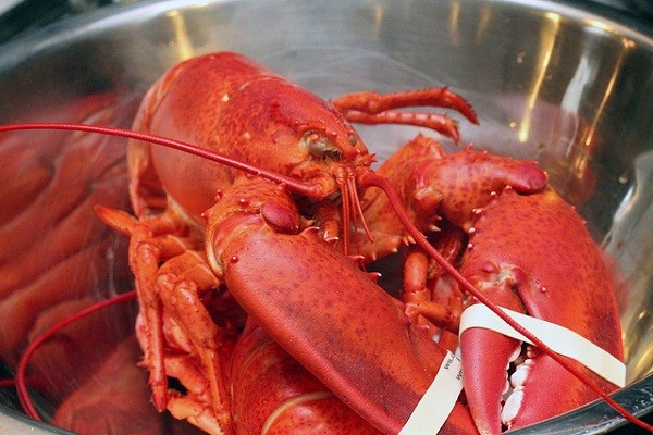 "Hoang[-]tưởng"[-]về[-]thực[-]phẩm[-]kh&ocirc;ng[-]phải[-]ai[-]cũng[-]biết[-]3